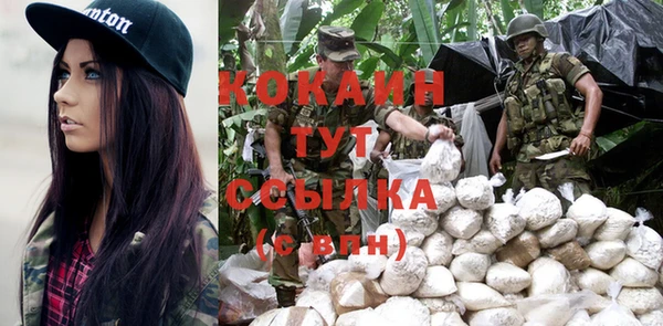 эйфоретик Баксан